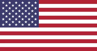 american flag-Davie